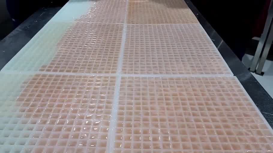Filled commercial silicone gummy mold after depositing and scraping the gummy mixture